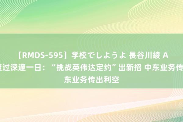   【RMDS-595】学校でしようよ 長谷川綾 AI龙头渡过深邃一日：“挑战英伟达定约”出新招 中东业务传出利空