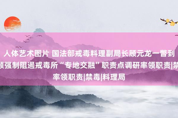   人体艺术图片 国法部戒毒料理副局长顾元龙一瞥到贵州省安顺强制阻遏戒毒所“专地交融”职责点调研率领职责|禁毒|料理局