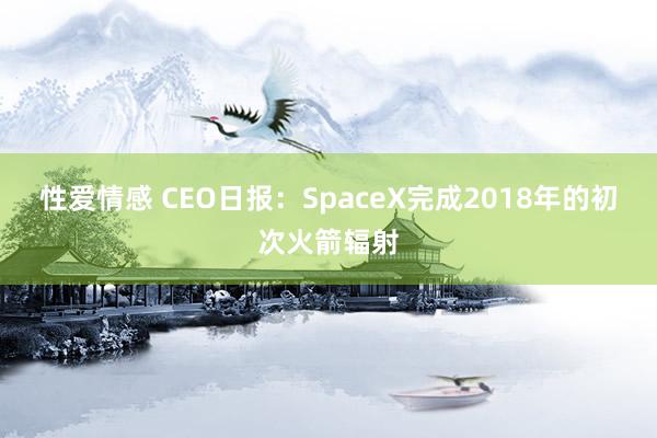   性爱情感 CEO日报：SpaceX完成2018年的初次火箭辐射