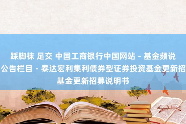   踩脚袜 足交 中国工商银行中国网站－基金频说念－基金公告栏目－泰达宏利集利债券型证券投资基金更新招募说明书