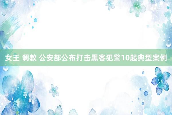  女王 调教 公安部公布打击黑客犯警10起典型案例