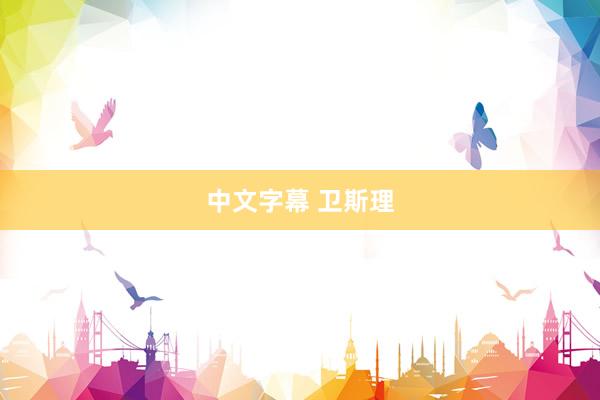   中文字幕 卫斯理