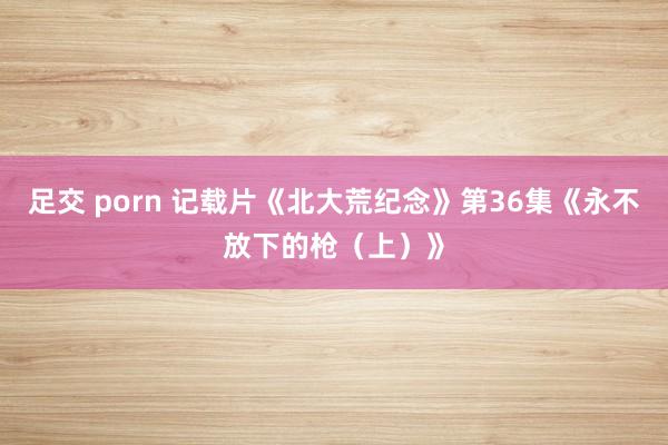   足交 porn 记载片《北大荒纪念》第36集《永不放下的枪（上）》