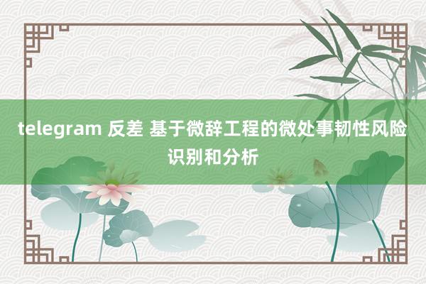   telegram 反差 基于微辞工程的微处事韧性风险识别和分析