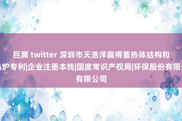   巨屌 twitter 深圳市天浩洋赢得蓄热体结构和蓄热炉专利|企业注册本钱|国度常识产权局|环保股份有限公司