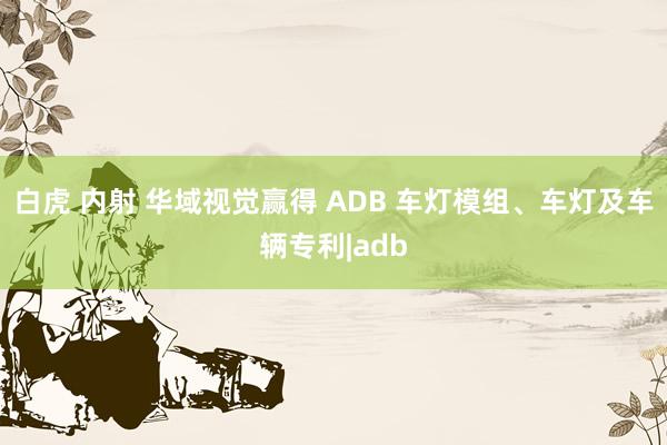   白虎 内射 华域视觉赢得 ADB 车灯模组、车灯及车辆专利|adb