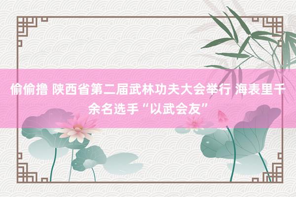   偷偷撸 陕西省第二届武林功夫大会举行 海表里千余名选手“以武会友”