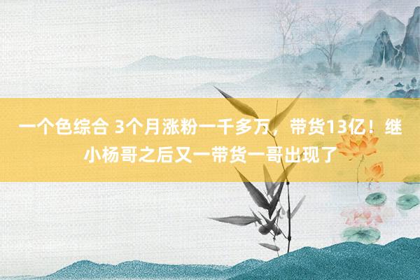 一个色综合 3个月涨粉一千多万，带货13亿！继小杨哥之后又一带货一哥出现了