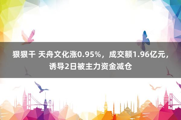   狠狠干 天舟文化涨0.95%，成交额1.96亿元，诱导2日被主力资金减仓