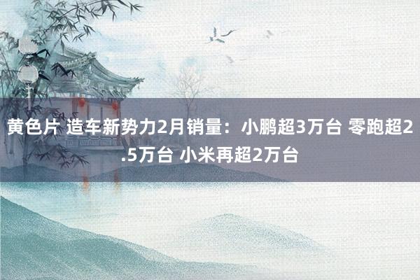 黄色片 造车新势力2月销量：小鹏超3万台 零跑超2.5万台 小米再超2万台