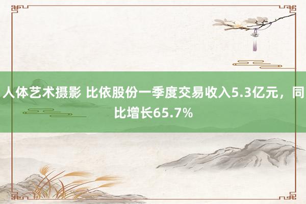 人体艺术摄影 比依股份一季度交易收入5.3亿元，同比增长65.7%